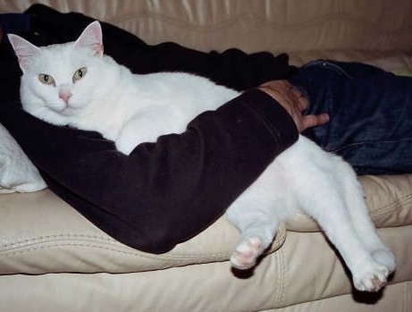 [sleepywhite[1].JPG]